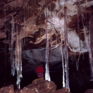 S951019.jpg